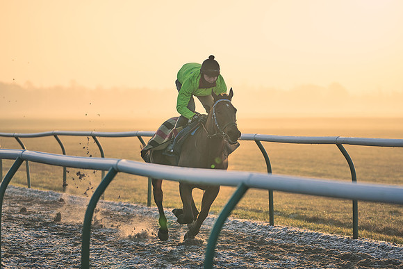 Southfields-002-Dominic-James-Horse-In-Training-3971