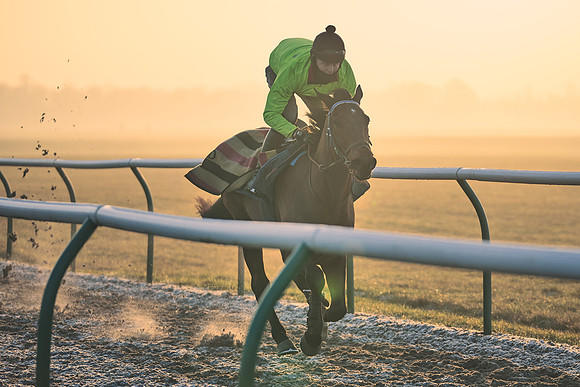 Southfields-002-Dominic-James-Horse-In-Training-3972