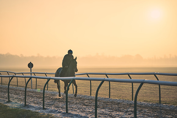 Southfields-002-Dominic-James-Horse-In-Training-3980