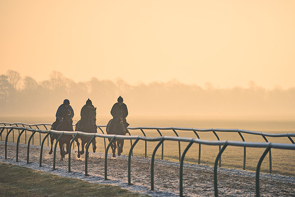 Southfields-002-Dominic-James-Horse-In-Training-3996