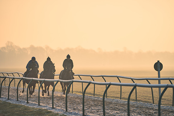 Southfields-002-Dominic-James-Horse-In-Training-3998