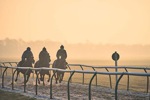 Southfields-002-Dominic-James-Horse-In-Training-4000