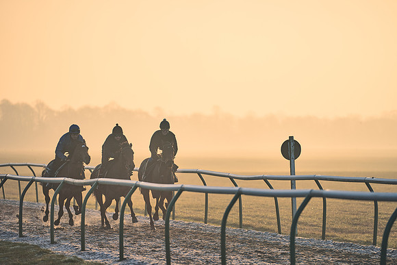 Southfields-002-Dominic-James-Horse-In-Training-4001
