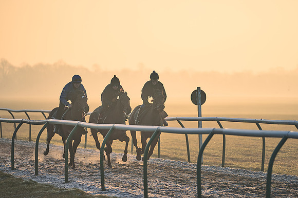 Southfields-002-Dominic-James-Horse-In-Training-4002