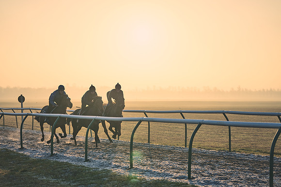 Southfields-002-Dominic-James-Horse-In-Training-4005