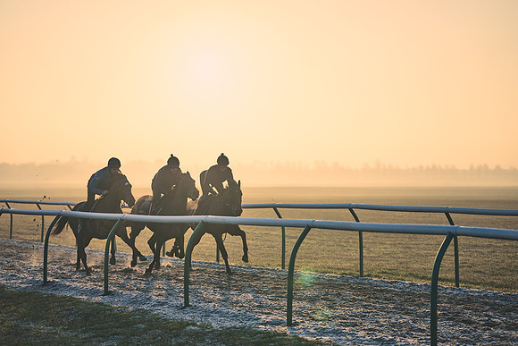 Southfields-002-Dominic-James-Horse-In-Training-4006