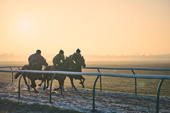 Southfields-002-Dominic-James-Horse-In-Training-4009