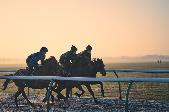 Southfields-002-Dominic-James-Horse-In-Training-4012