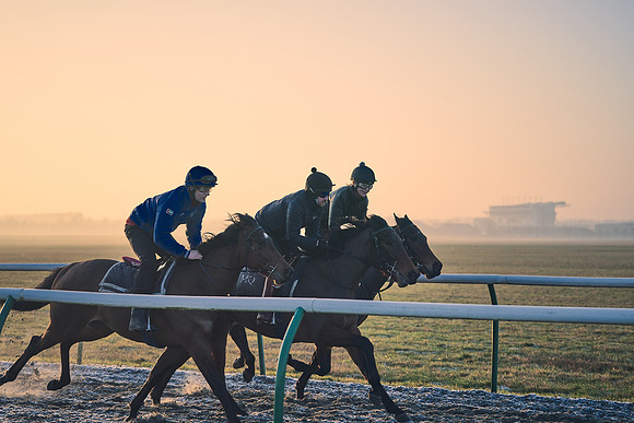 Southfields-002-Dominic-James-Horse-In-Training-4014
