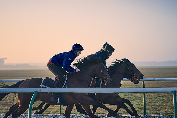 Southfields-002-Dominic-James-Horse-In-Training-4018