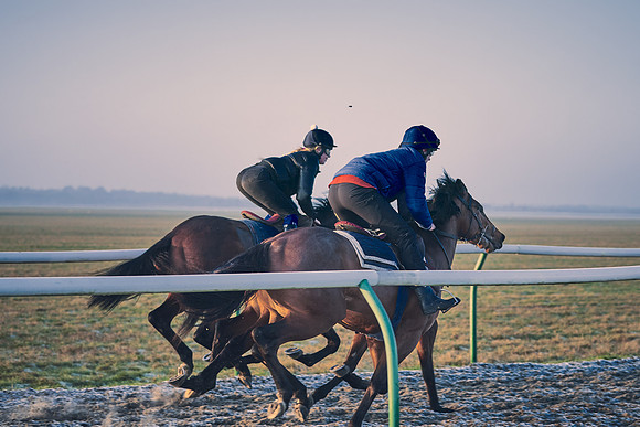 Southfields-002-Dominic-James-Horse-In-Training-4022