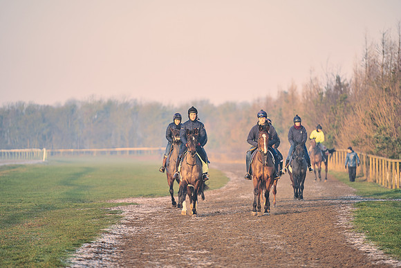 Southfields-002-Dominic-James-Horse-In-Training-4028
