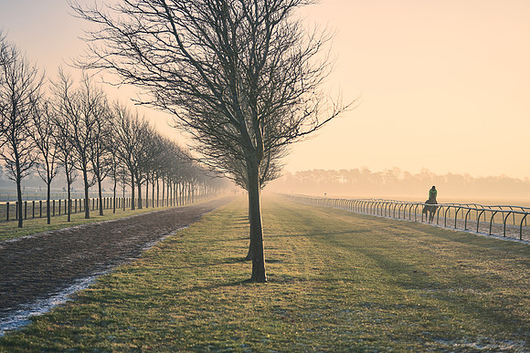 Southfields-002-Dominic-James-Horse-In-Training-4030