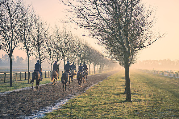 Southfields-002-Dominic-James-Horse-In-Training-4040