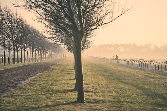 Southfields-002-Dominic-James-Horse-In-Training-4045