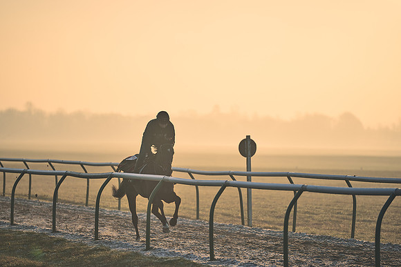 Southfields-002-Dominic-James-Horse-In-Training-4056