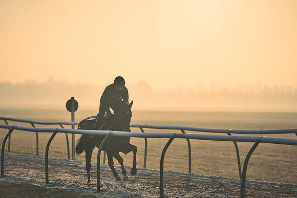 Southfields-002-Dominic-James-Horse-In-Training-4058