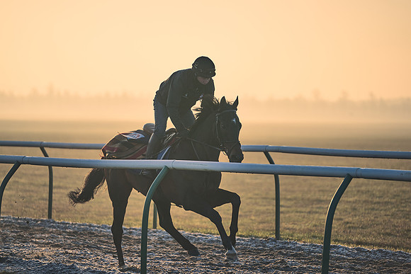 Southfields-002-Dominic-James-Horse-In-Training-4061