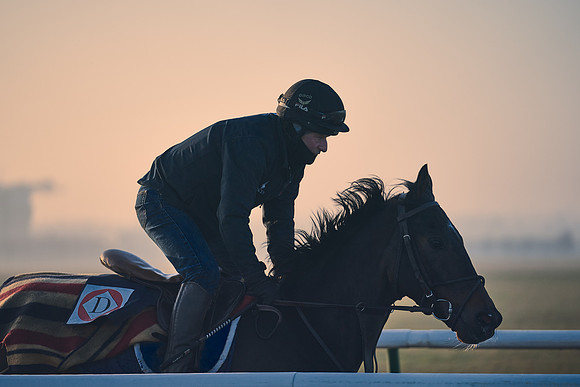 Southfields-002-Dominic-James-Horse-In-Training-4063