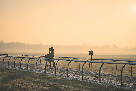 Southfields-002-Dominic-James-Horse-In-Training-4069