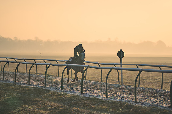 Southfields-002-Dominic-James-Horse-In-Training-4070