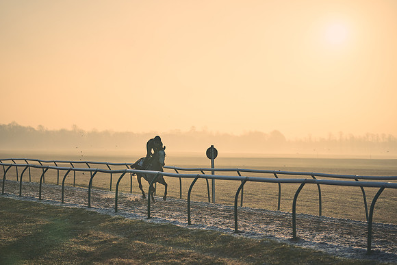 Southfields-002-Dominic-James-Horse-In-Training-4071
