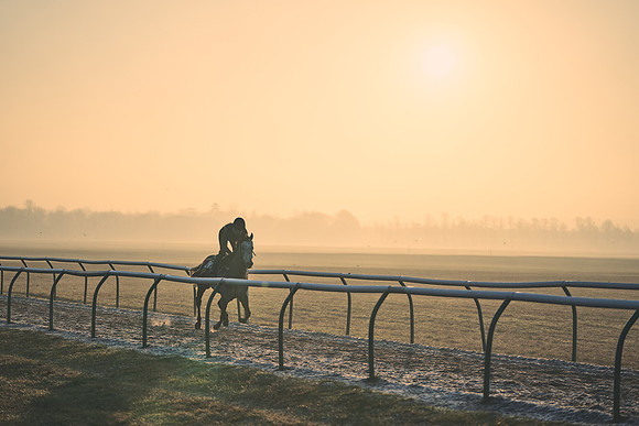 Southfields-002-Dominic-James-Horse-In-Training-4072