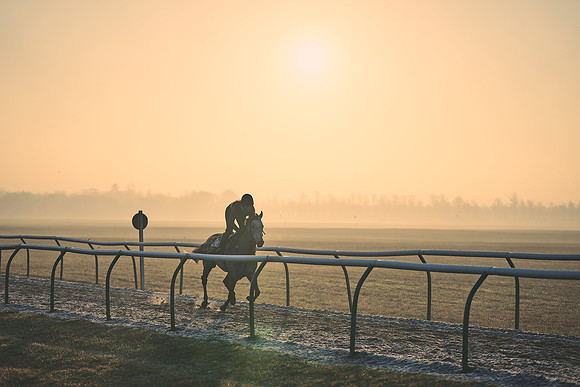 Southfields-002-Dominic-James-Horse-In-Training-4073