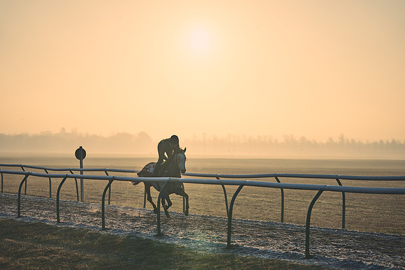Southfields-002-Dominic-James-Horse-In-Training-4074