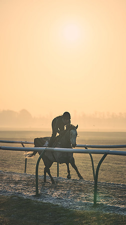 Southfields-002-Dominic-James-Horse-In-Training-4075