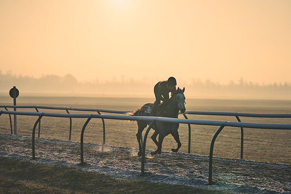 Southfields-002-Dominic-James-Horse-In-Training-4076