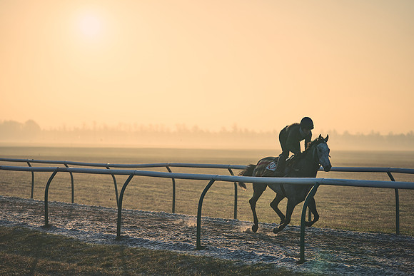 Southfields-002-Dominic-James-Horse-In-Training-4078