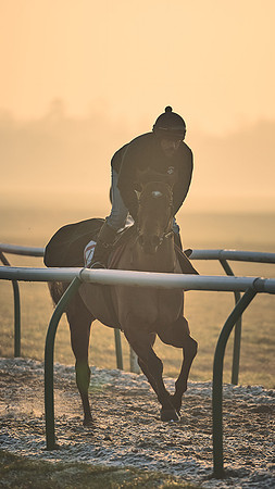 Southfields-002-Dominic-James-Horse-In-Training-4080