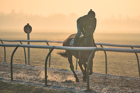 Southfields-002-Dominic-James-Horse-In-Training-4081