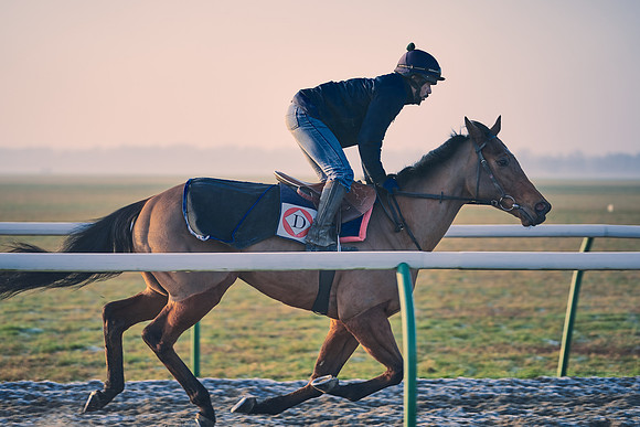 Southfields-002-Dominic-James-Horse-In-Training-4094