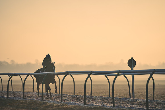 Southfields-002-Dominic-James-Horse-In-Training-4096