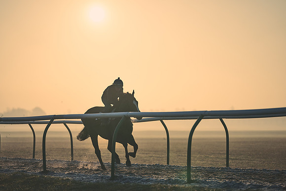 Southfields-002-Dominic-James-Horse-In-Training-4098