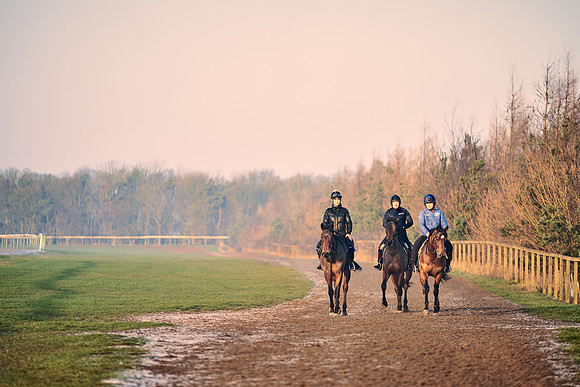 Southfields-002-Dominic-James-Horse-In-Training-4110