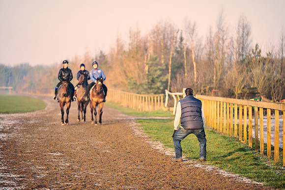 Southfields-002-Dominic-James-Horse-In-Training-4111