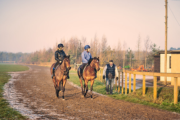 Southfields-002-Dominic-James-Horse-In-Training-4113