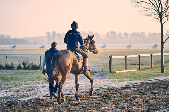 Southfields-002-Dominic-James-Horse-In-Training-4115