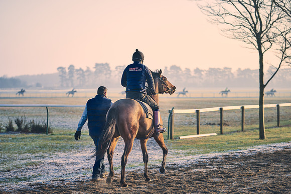 Southfields-002-Dominic-James-Horse-In-Training-4117