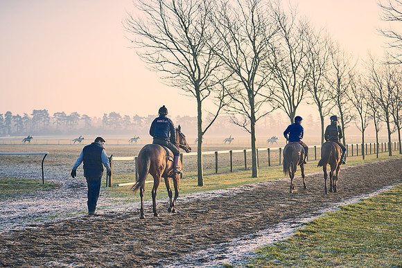Southfields-002-Dominic-James-Horse-In-Training-4120