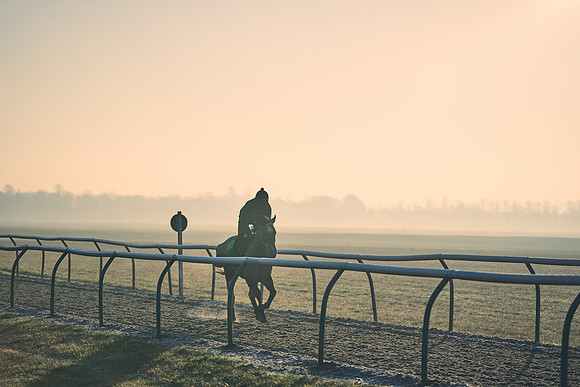 Southfields-002-Dominic-James-Horse-In-Training-4131
