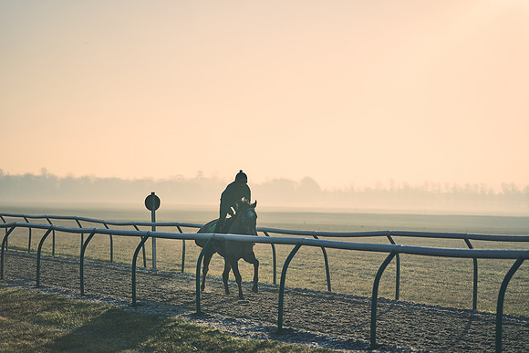 Southfields-002-Dominic-James-Horse-In-Training-4132