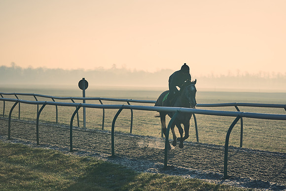 Southfields-002-Dominic-James-Horse-In-Training-4133