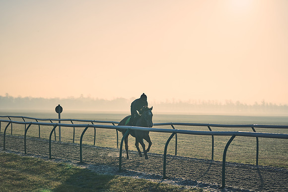 Southfields-002-Dominic-James-Horse-In-Training-4134