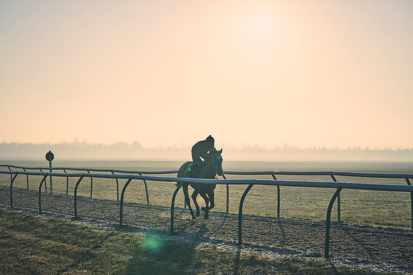 Southfields-002-Dominic-James-Horse-In-Training-4135
