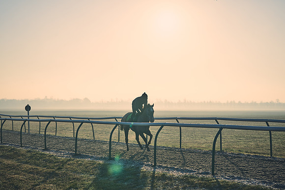 Southfields-002-Dominic-James-Horse-In-Training-4136