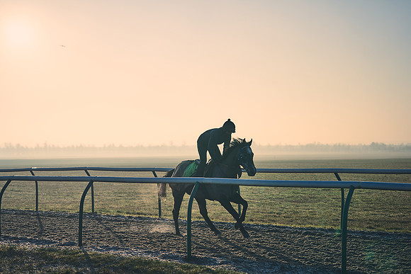 Southfields-002-Dominic-James-Horse-In-Training-4138